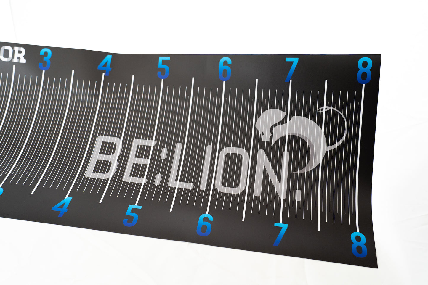 BE:LION. オリジナルターポリンメジャー