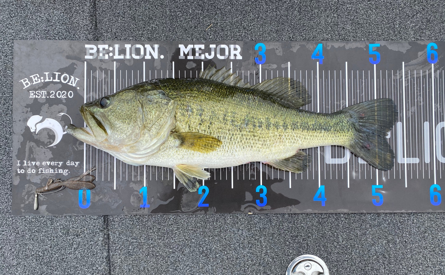 BE:LION. オリジナルターポリンメジャー